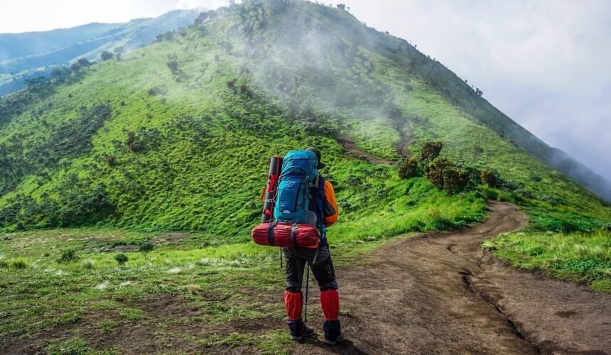 A lone trekker stands in awe, soaking in the lush green hills of Nepal during the monsoon season—where nature breathes life into every step.
